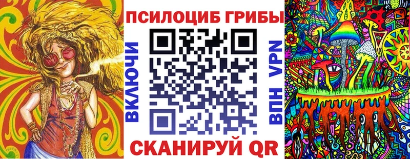 Галлюциногенные грибы Psilocybine cubensis  Барыш 